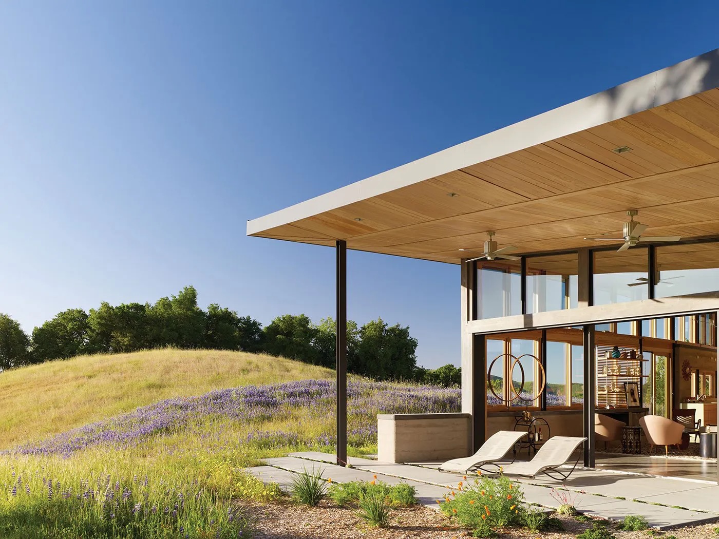 A corner view of the open Caterpillar house and patio