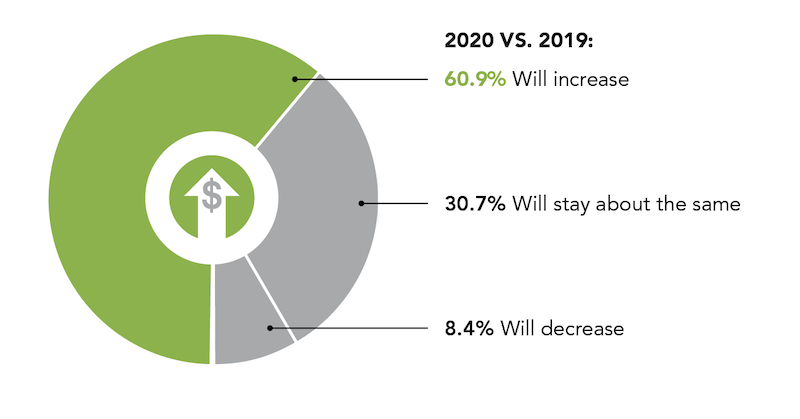 revenue expectations for 2020 revenue relative to 2019