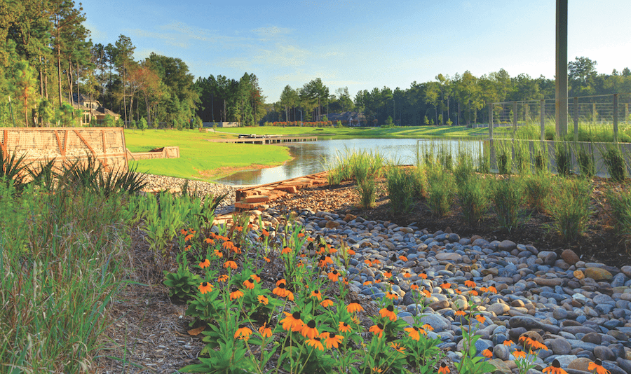 2022 Nationals Best Community Landscape winner Artavia plantings