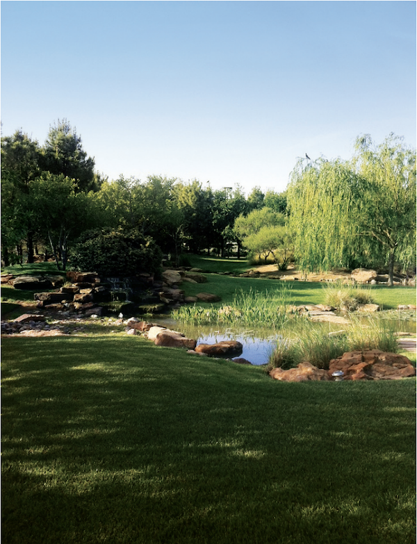 Betenbough builders' Lubbock, Texas, headquarters, landscape