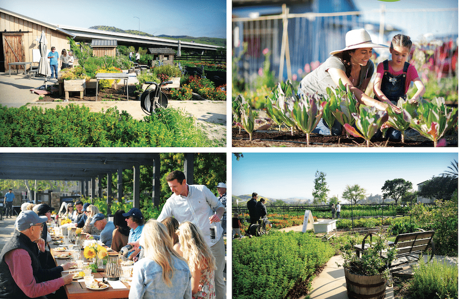 The lifestyle at Esencia Farm agrihood in Rancho Mission Viejo, California