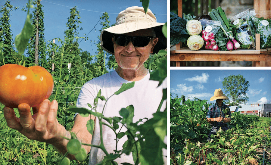 Farm activity at Woodside Farms in the Chickahominy Falls agrihood in Richmoind, Va.