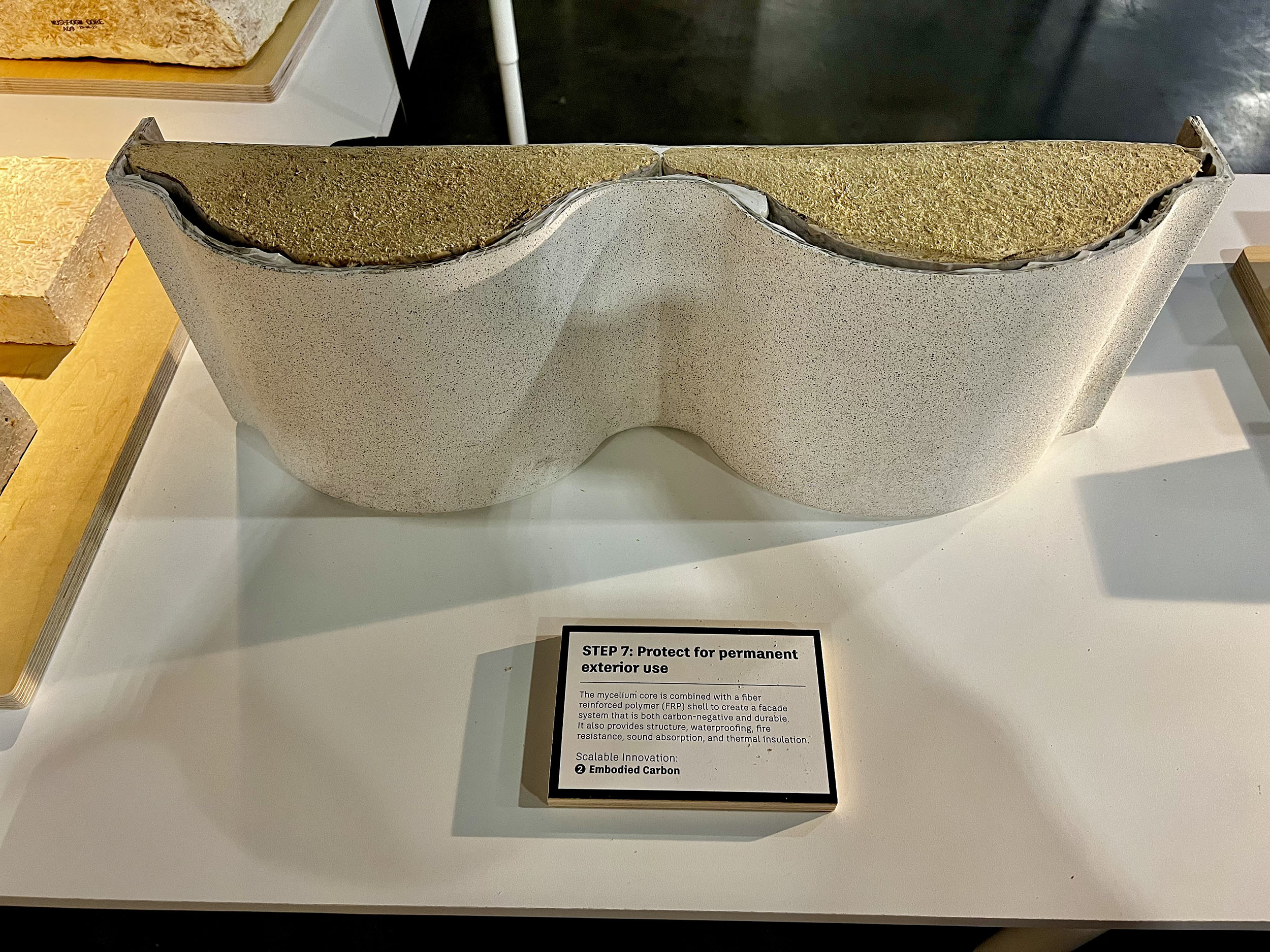 Showcase of Mycelium at convention