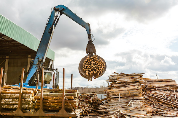 Lumber mill yard