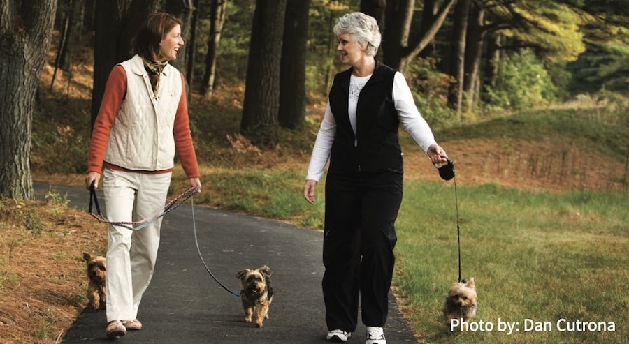 Women walking dogs