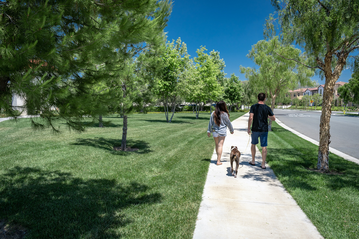 outdoor common trails