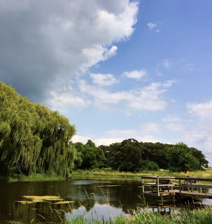 The pond at Serosun Farms agrihood