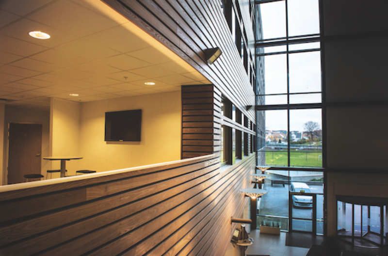 Thermory heat-treated ash siding applied on an interior