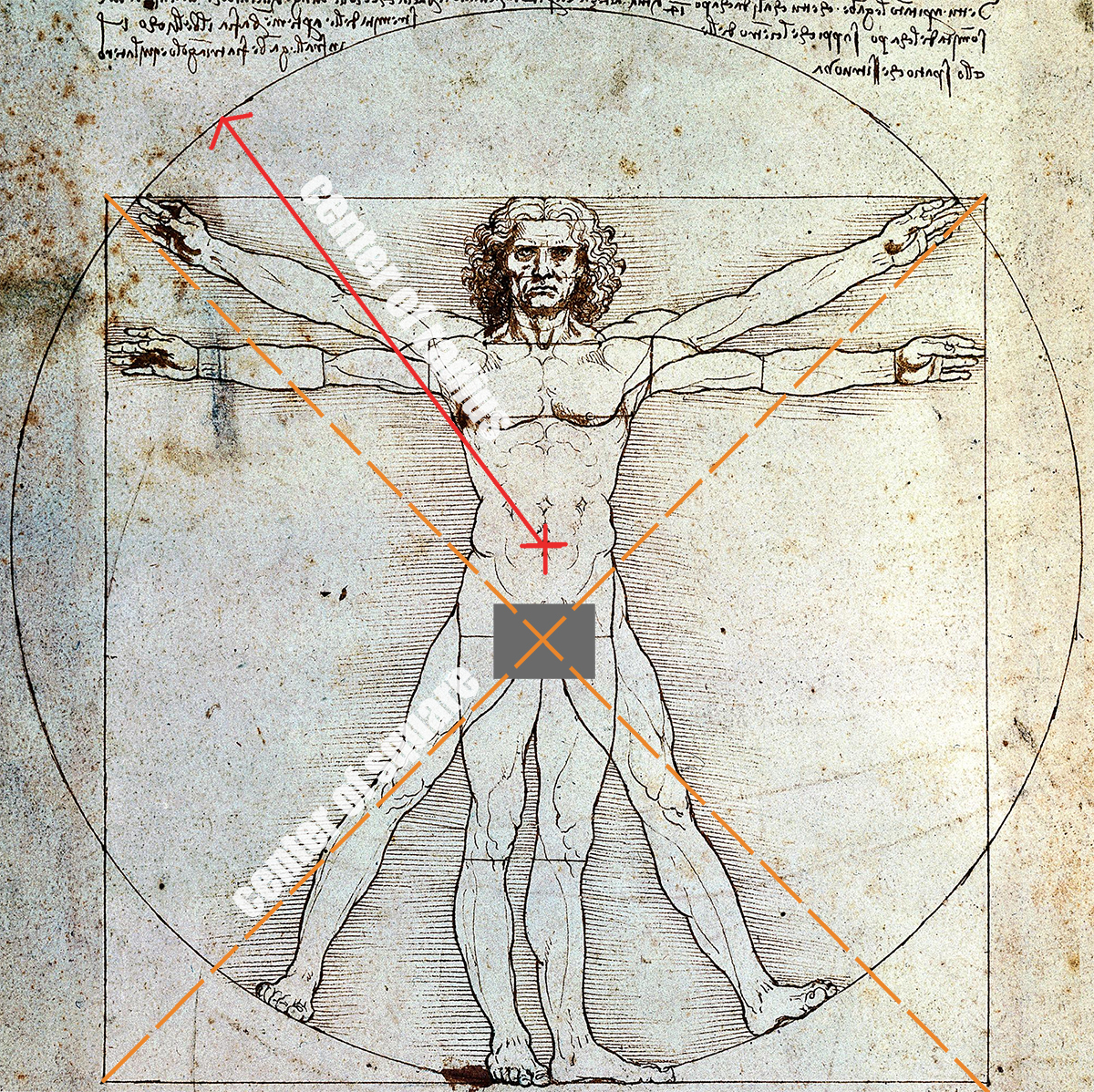 Vitruvian-Man.jpg