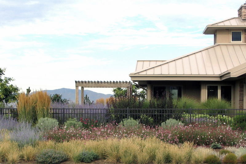 Native plants in the Utah House garden