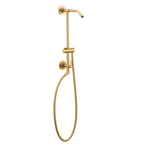 Moen Annex Brushed gold spa shower only