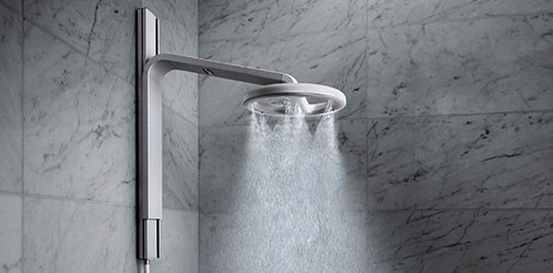 Moen Nebia showerhead