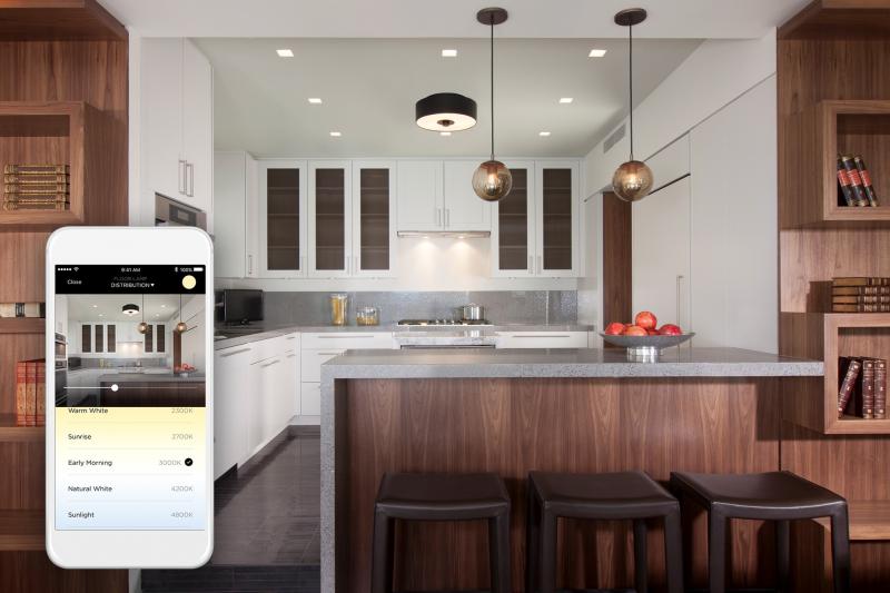 smart home lighting savant