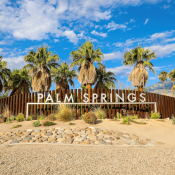 Palm Springs, California, sign with palm trees behind it