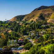 Houses in the Hollywood Hills