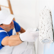 Professional painter using roller to paint wall