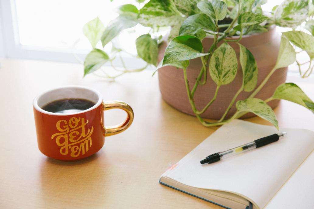 Mug, notebook, plant on table