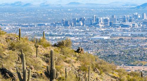 View of Phoenix metro with cacti in the foreground