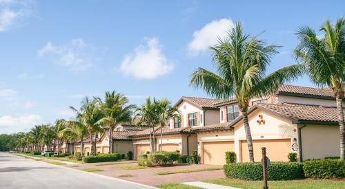 Streetview of suburb lined with Palm trees