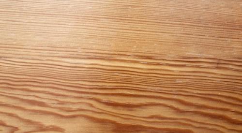 Closeup of wood grain