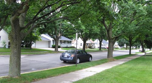 View of city street with trees