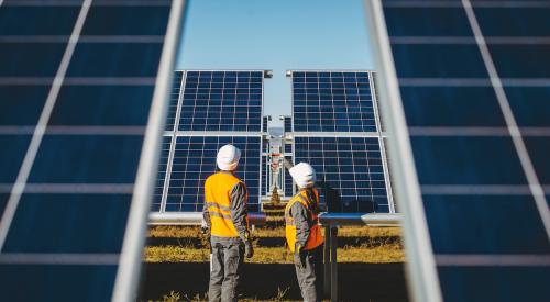 solar panel plant