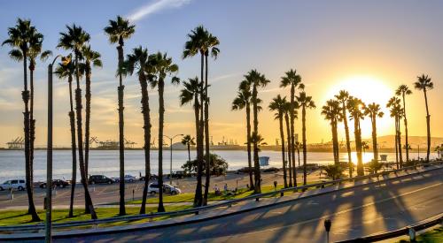 California sunset with palm trees