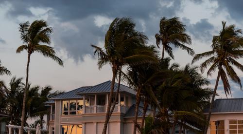 Windy weather