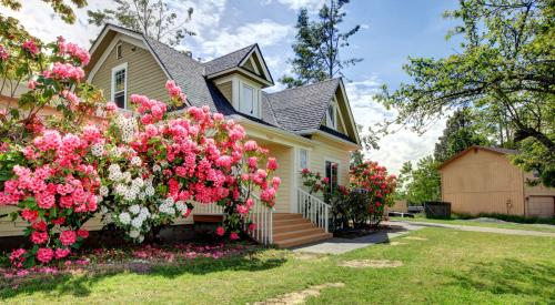 house with flowers