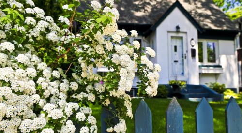 Flowers in front of house