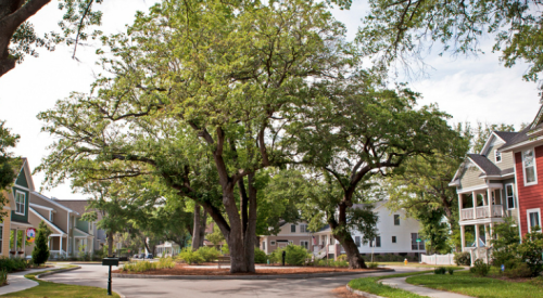 Pocket park in North Charleston, Oak Terrace Preserve