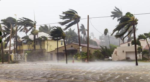 Hurricane winds and rain push against palm trees in residential area