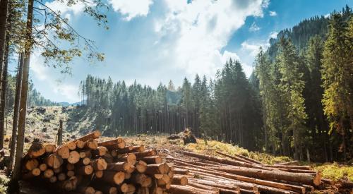 Lumber yard