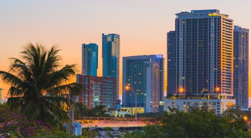 Miami skyline at sunset with palm tree in foreground