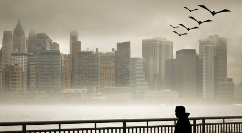 Bats flying over vampire on bench looking at New York City skyline