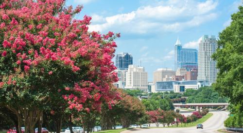 Raleigh, North Carolina summer