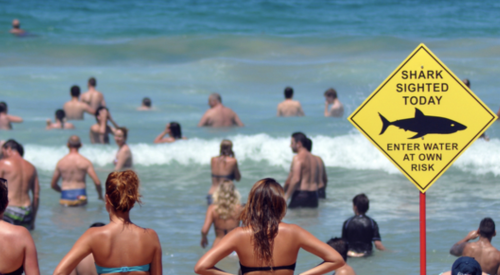 people at beach with shark warning sign