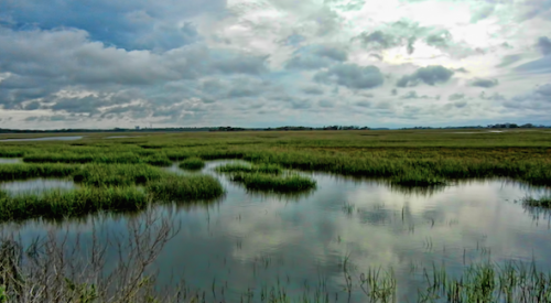 U.S. wetlands