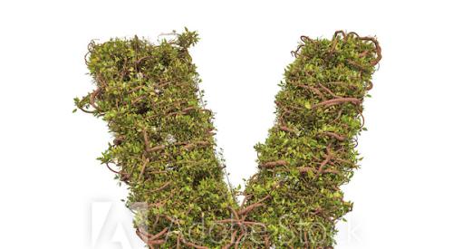 V-shaped shrubbery