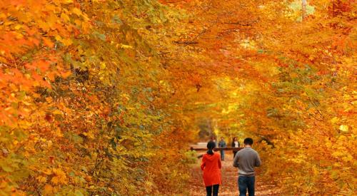 People walking down path with autumn leaves in Vermont