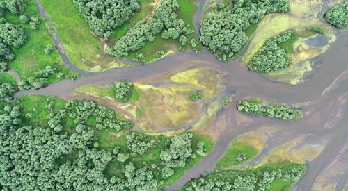 Aerial view of wetlands