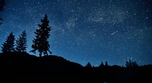 House exterior at night in wilderness