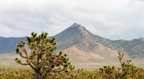 Phoenix, Arizona