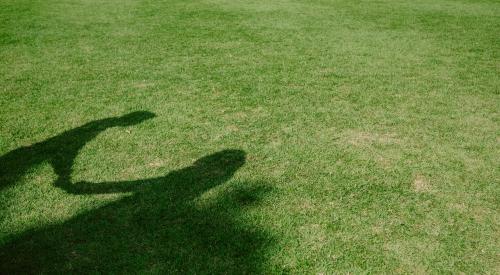 Shadow of two people shaking hands on a green lawn