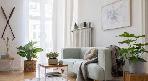 Bright and sunny living room