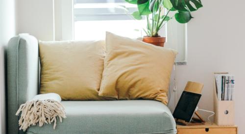 House interior with french bulldog on dog bed