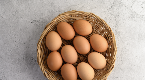 eggs in basket