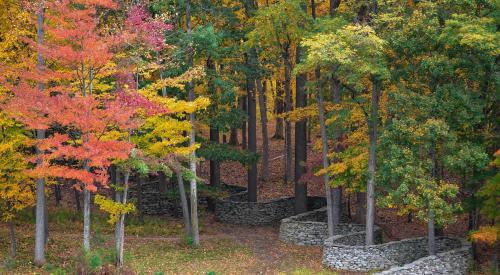 Pastoral scene in Vermont