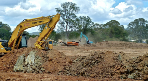 Clearing land for development