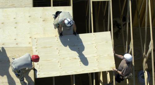 construction workers installing plywood